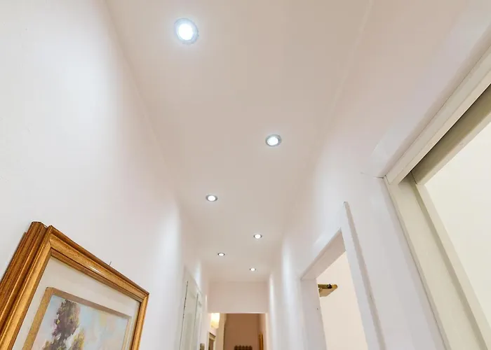 Volta By Quokka 360 - Minimal Flat In *